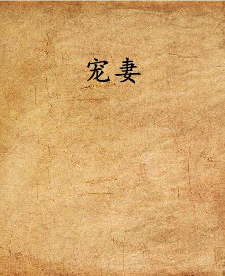 宠妻（君子有约小说）