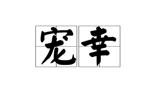 宠幸