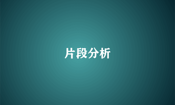 片段分析