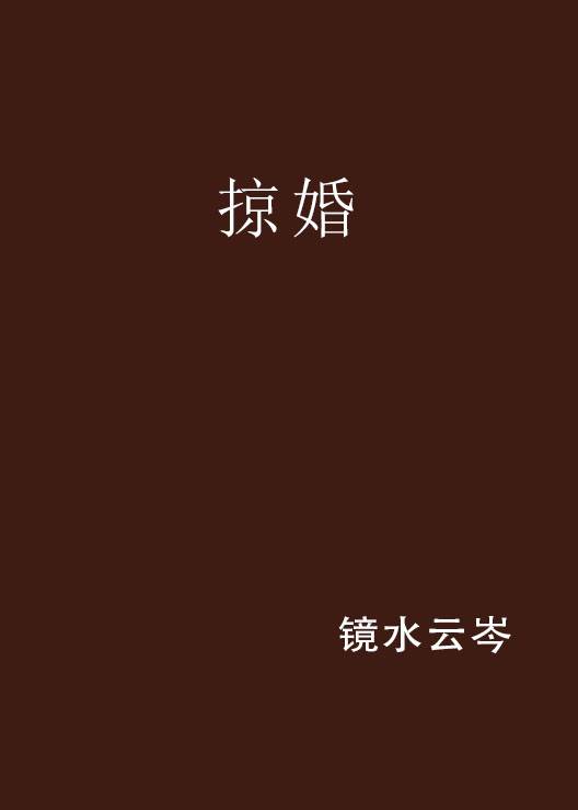 掠婚
