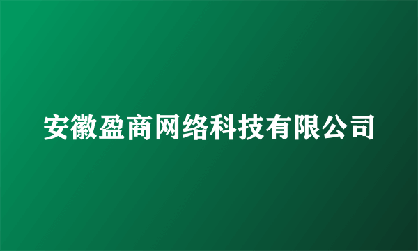 安徽盈商网络科技有限公司