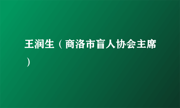 王润生（商洛市盲人协会主席）
