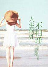 人生何处不相逢（都市、言情小说）