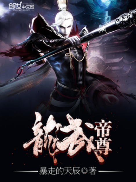 龙武帝尊（暴走的天辰所著小说）