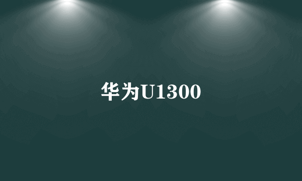 华为U1300