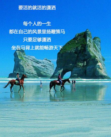 要活就活得潇洒