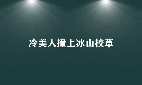 冷美人撞上冰山校草