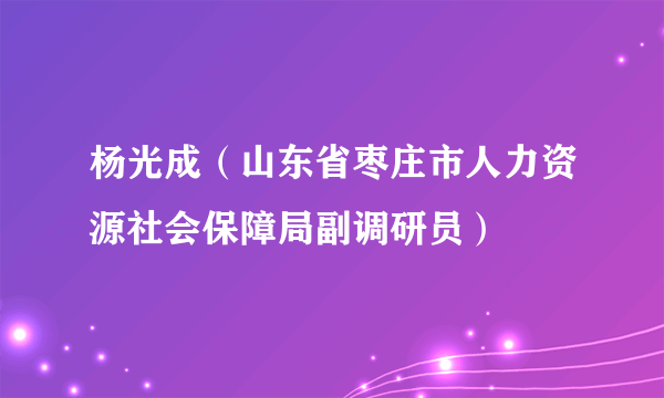 杨光成（山东省枣庄市人力资源社会保障局副调研员）