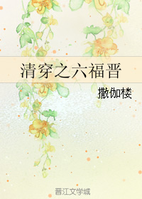 清穿之六福晋