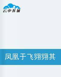 凤凰于飞翙翙其羽