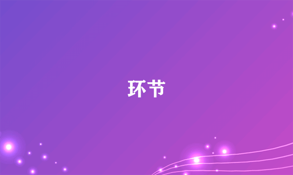 环节