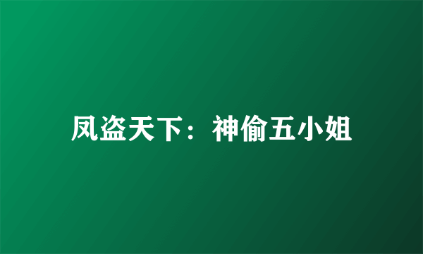 凤盗天下：神偷五小姐