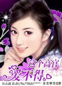 一夕错情：这个高官爱不得