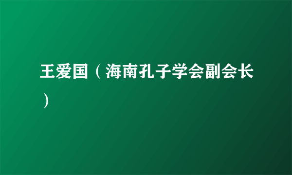王爱国（海南孔子学会副会长）
