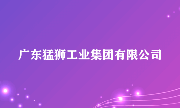 广东猛狮工业集团有限公司