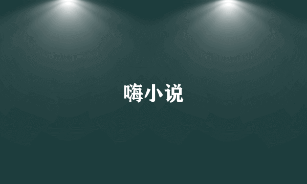嗨小说