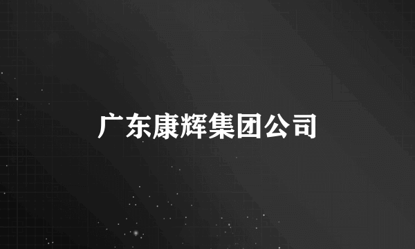 广东康辉集团公司