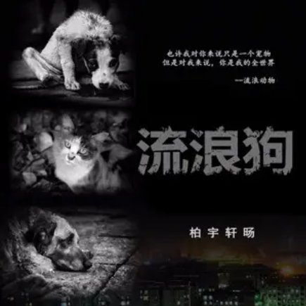 流浪狗（柏宇轩旸演唱歌曲）