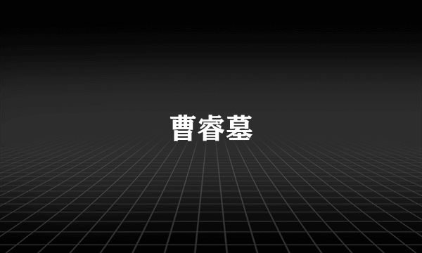 曹睿墓