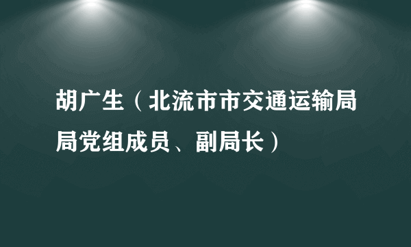 胡广生（北流市市交通运输局局党组成员、副局长）