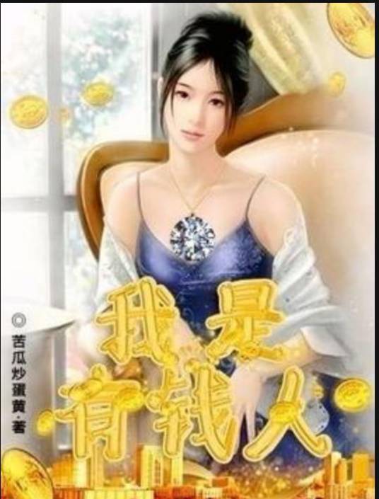 我是有钱人（苦瓜炒蛋黄所著小说）