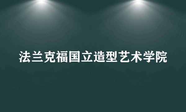法兰克福国立造型艺术学院