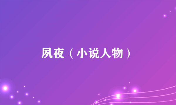 夙夜（小说人物）