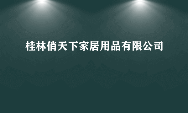 桂林俏天下家居用品有限公司