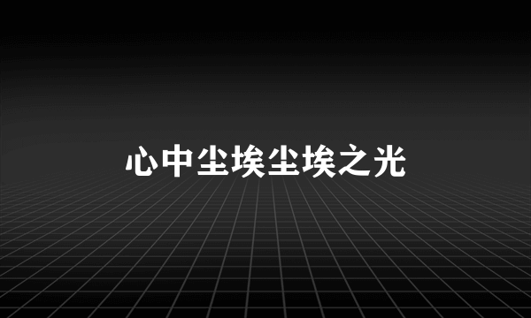 心中尘埃尘埃之光