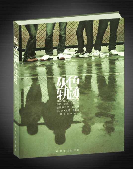 灰色轨迹（2009年中国文化出版社出版的图书）