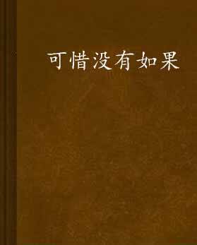 可惜没有如果（半岛夏所著小说）