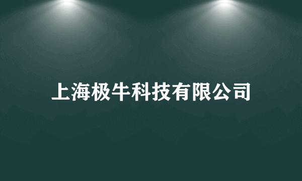 上海极牛科技有限公司