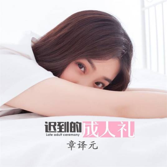 微妙关系（章译元演唱歌曲）