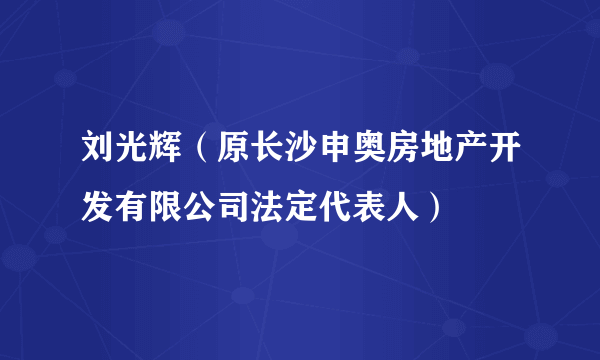 刘光辉（原长沙申奥房地产开发有限公司法定代表人）