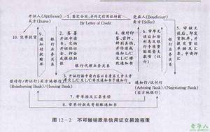 红条款信用证