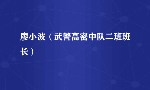 廖小波（武警高密中队二班班长）