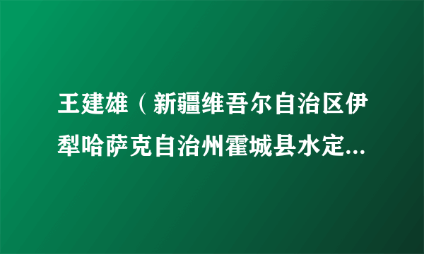 王建雄（新疆维吾尔自治区伊犁哈萨克自治州霍城县水定镇党委书记）