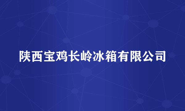 陕西宝鸡长岭冰箱有限公司