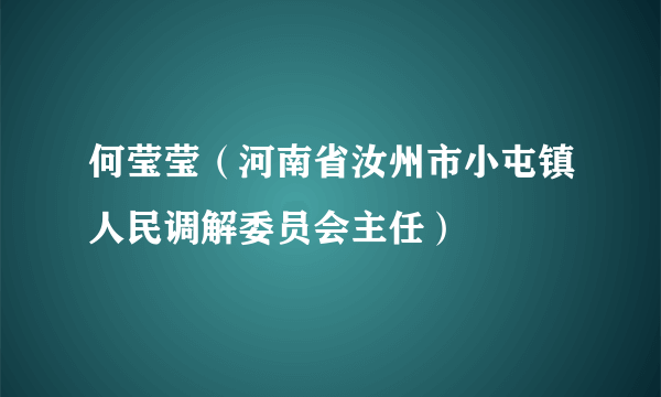 何莹莹（河南省汝州市小屯镇人民调解委员会主任）