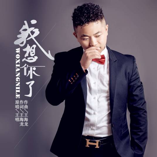 我想你了（王唱演唱的歌曲）