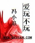 爱玩不玩（小说）
