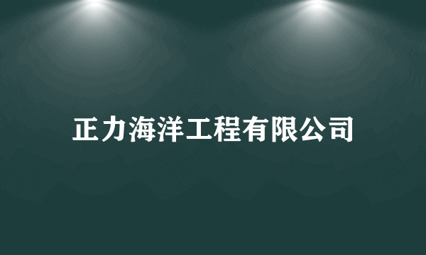 正力海洋工程有限公司