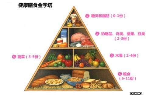 健康餐盘
