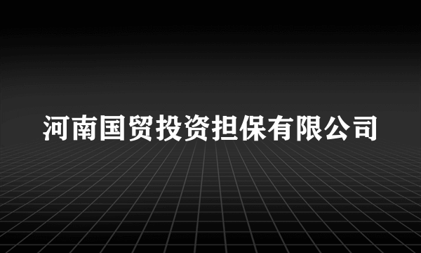 河南国贸投资担保有限公司