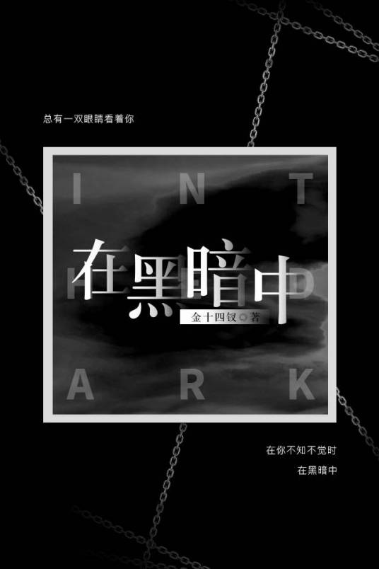 在黑暗中（金十四钗所著悬疑小说）