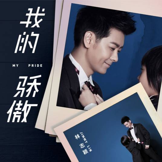 我的骄傲（林志颖演唱歌曲）