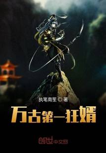 万古第一狂婿（执笔南笙小说作品）