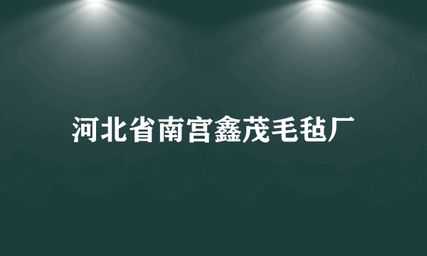 河北省南宫鑫茂毛毡厂