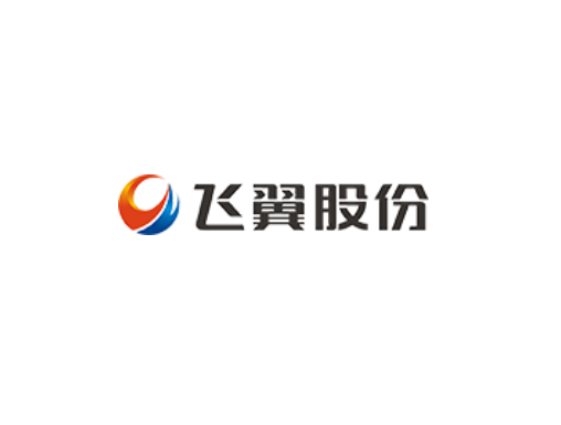 飞翼股份有限公司
