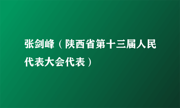 张剑峰（陕西省第十三届人民代表大会代表）